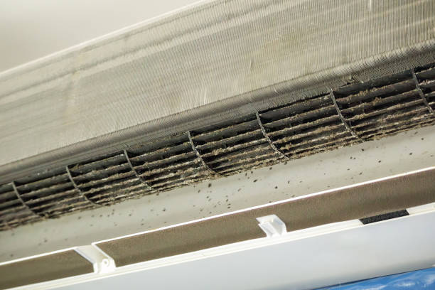 Best HVAC Duct Inspection Services  in Harrisville, UT